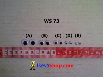 WS 73  large2